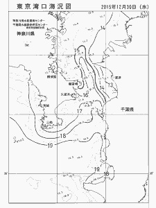 東京湾口海況図(2015/12/30)