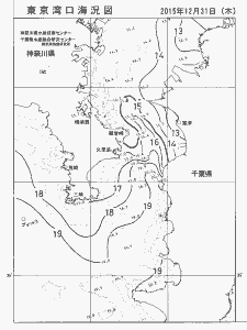 東京湾口海況図(2015/12/31)