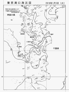 東京湾口海況図(2016/01/05)