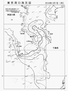 東京湾口海況図(2016/01/07)