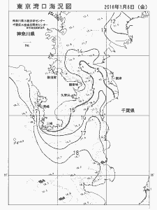 東京湾口海況図(2016/01/08)