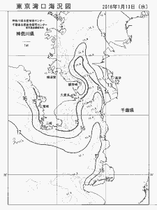東京湾口海況図(2016/01/13)
