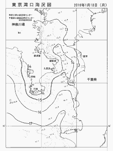 東京湾口海況図(2016/01/18)