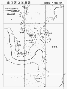 東京湾口海況図(2016/01/20)