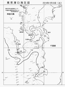 東京湾口海況図(2016/01/23)