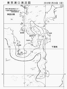東京湾口海況図(2016/01/24)