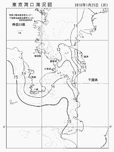 東京湾口海況図(2016/01/25)