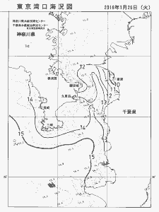 東京湾口海況図(2016/01/26)