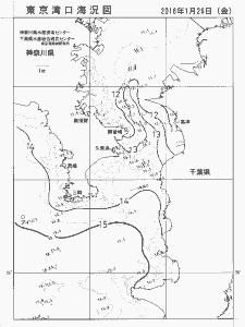 東京湾口海況図(2016/01/29)