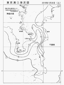 東京湾口海況図(2016/01/30)