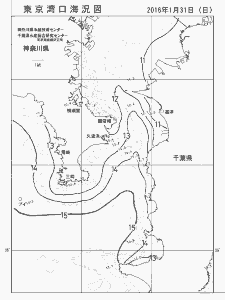 東京湾口海況図(2016/01/31)