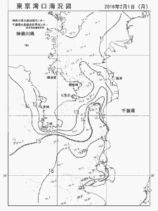 東京湾口海況図(2016/02/01)