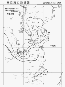 東京湾口海況図(2016/02/03)