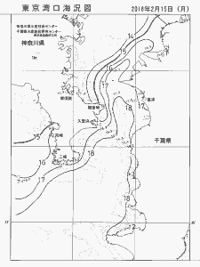 東京湾口海況図(2016/02/15)
