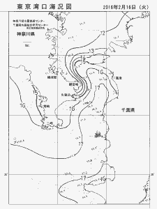 東京湾口海況図(2016/02/16)