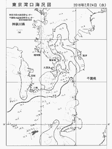 東京湾口海況図(2016/02/24)