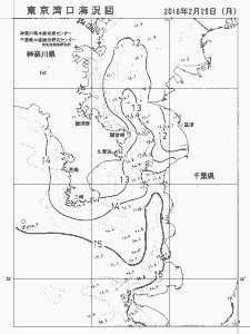 東京湾口海況図(2016/02/29)