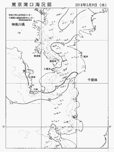 東京湾口海況図(2016/03/09)