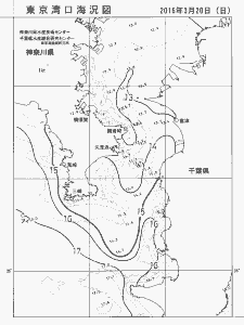 東京湾口海況図(2016/03/20)