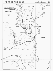 東京湾口海況図(2016/03/28)