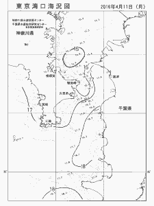 東京湾口海況図(2016/04/11)