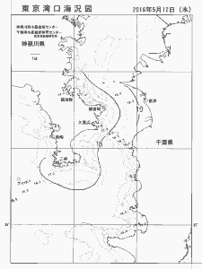東京湾口海況図(2016/05/12)