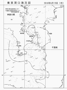 東京湾口海況図(2016/05/19)