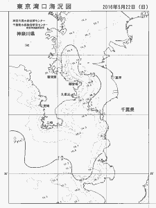 東京湾口海況図(2016/05/22)