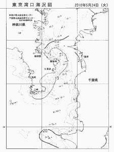 東京湾口海況図(2016/05/24)
