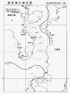 東京湾口海況図(2016/05/26)