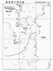 東京湾口海況図(2016/05/28)