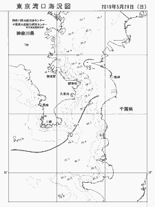 東京湾口海況図(2016/05/29)