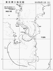 東京湾口海況図(2016/06/11)