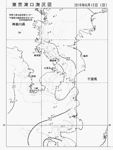 東京湾口海況図(2016/06/12)