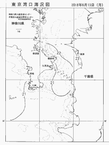 東京湾口海況図(2016/06/13)