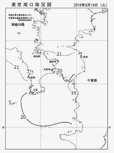 東京湾口海況図(2016/06/14)
