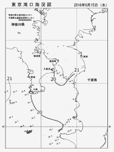 東京湾口海況図(2016/06/15)