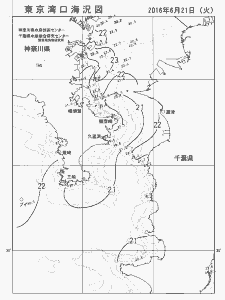 東京湾口海況図(2016/06/21)