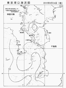 東京湾口海況図(2016/06/24)