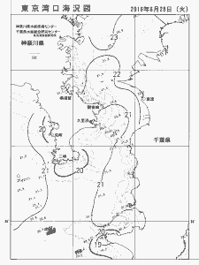東京湾口海況図(2016/06/28)