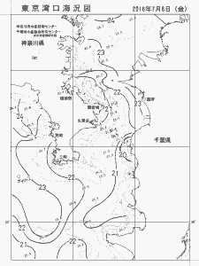 東京湾口海況図(2016/07/08)