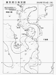 東京湾口海況図(2016/07/14)