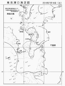 東京湾口海況図(2016/07/16)