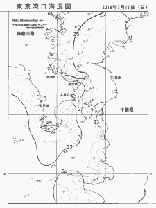 東京湾口海況図(2016/07/17)
