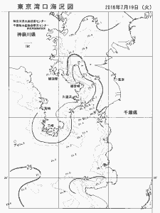 東京湾口海況図(2016/07/19)