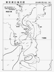 東京湾口海況図(2016/07/21)