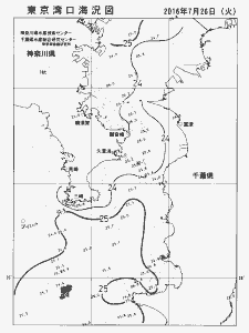 東京湾口海況図(2016/07/26)