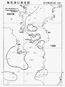 東京湾口海況図(2016/08/03)