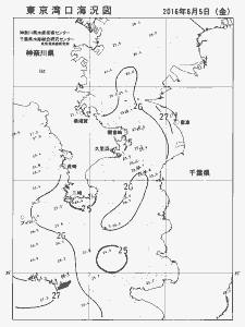 東京湾口海況図(2016/08/05)