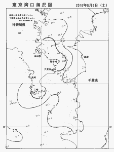 東京湾口海況図(2016/08/06)